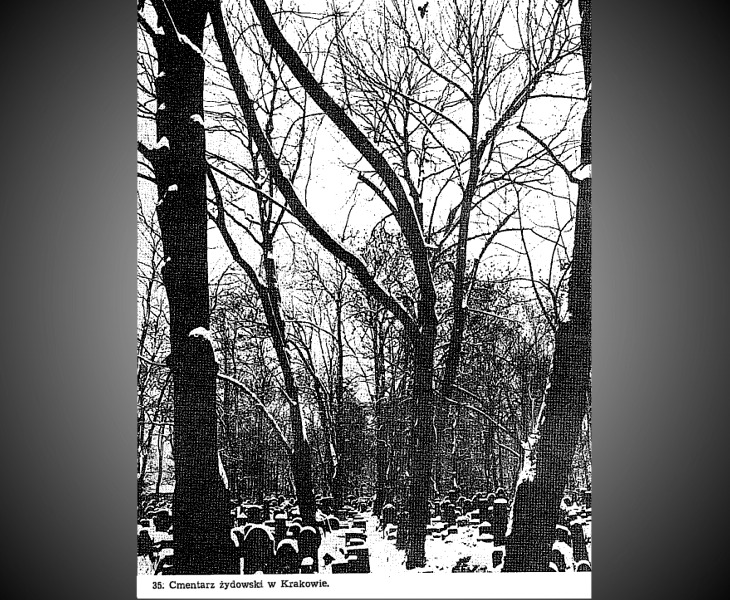 בית העלמין היהודי בקרקוב